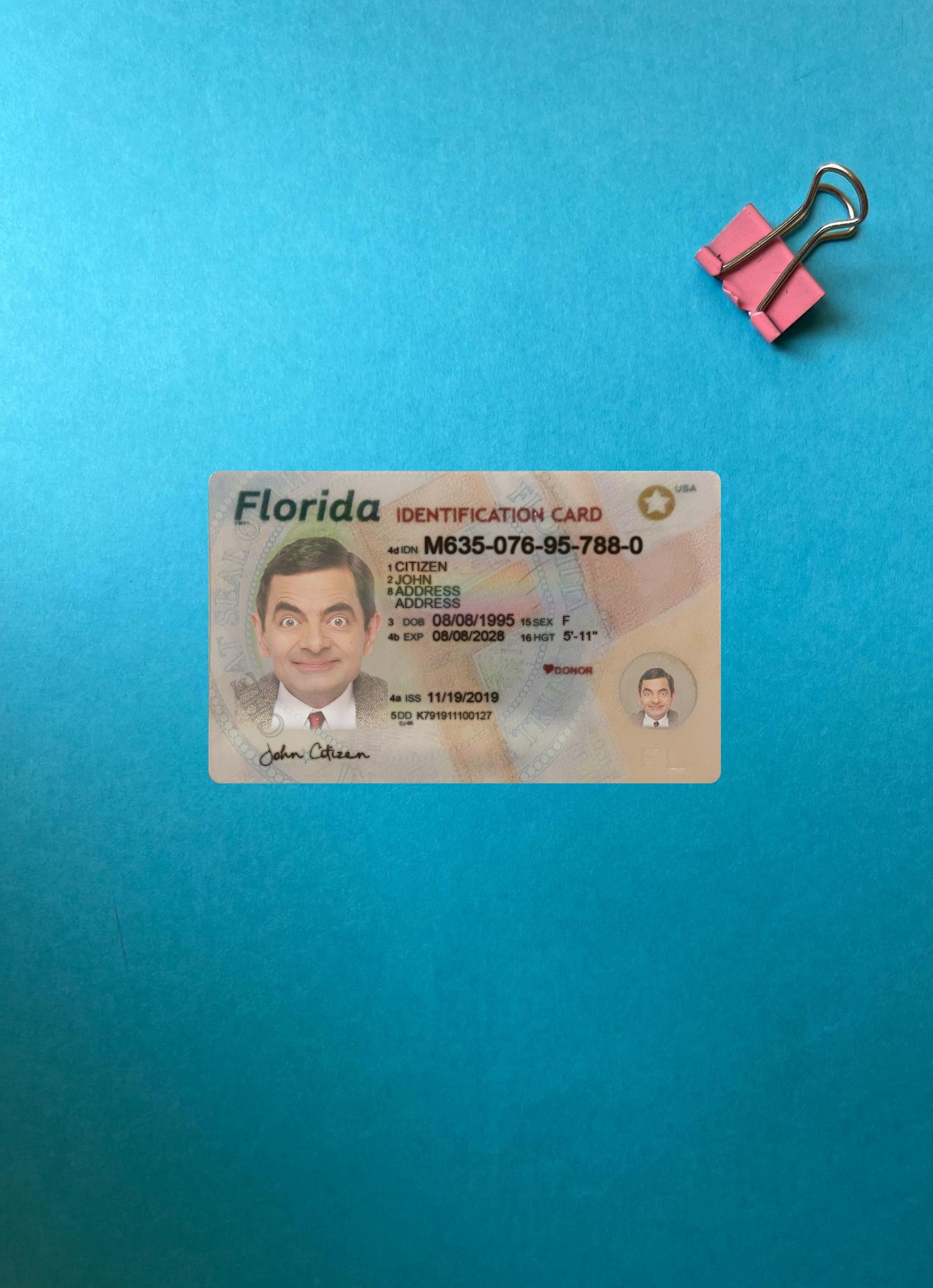 Blank USA Florida ID card photolook example
